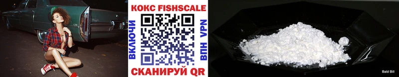купить закладку  darknet телеграм  Кокаин Fish Scale  Вяземский 