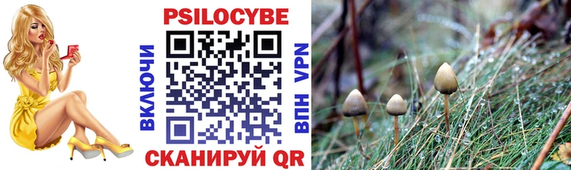 Псилоцибиновые грибы Cubensis  Вяземский 